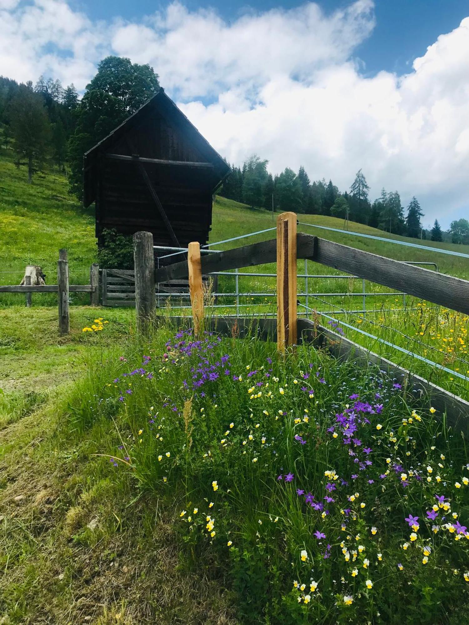 Wohlfühlappartement Kreischberg Sankt Georgen ob Murau Exterior foto